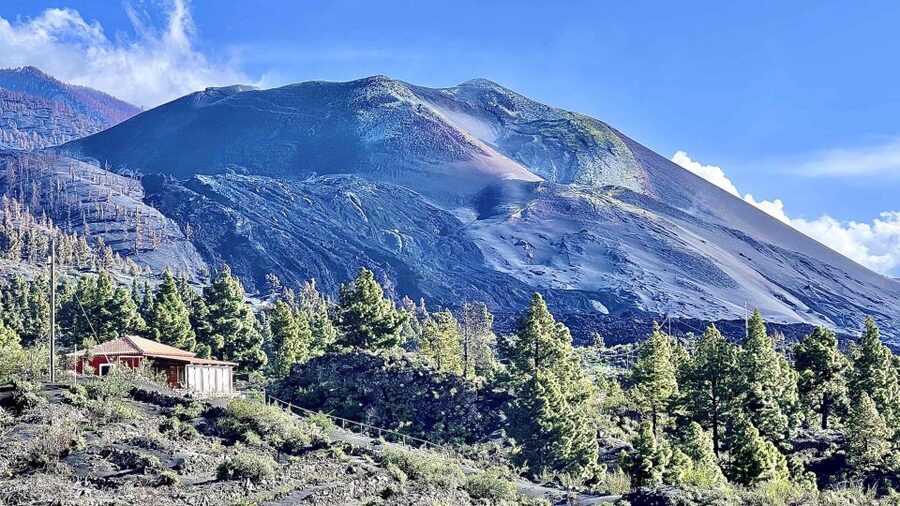 From Tenerife: Day Trip to La Palma Volcanic Landscapes - What the bus and guides add to the experience