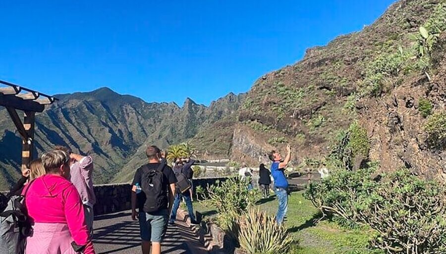 From Tenerife: La Gomera Day Trip with Guide - Viewpoints over ravines and volcanic rock