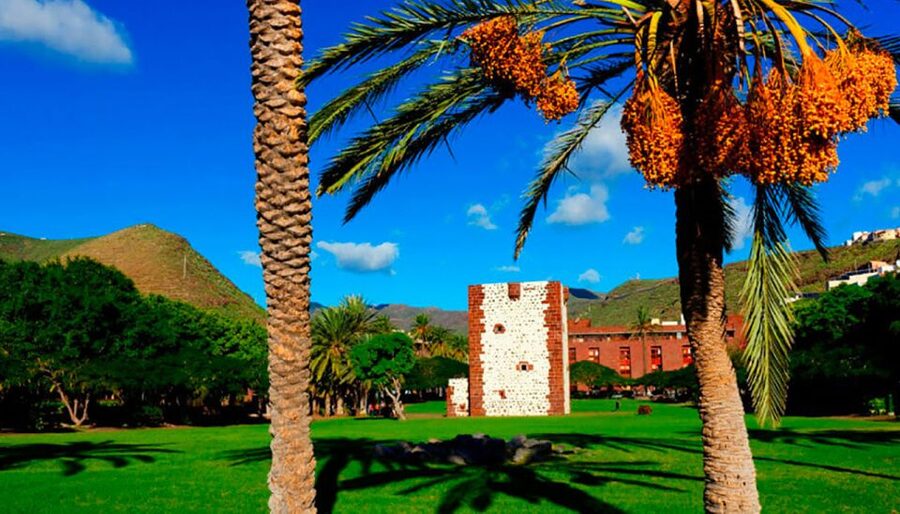From Tenerife: La Gomera Day Trip with Guide - How much value do you get for $112?