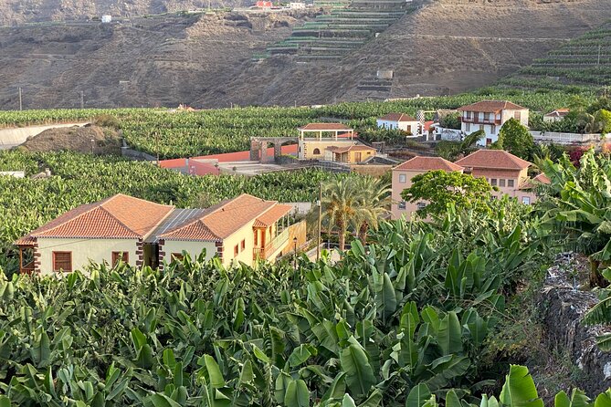 From Tenerife: Tajogaite Volcano, La Cumbrecita and Casco Antiguo - Tacande, Tazacorte, and the youngest lava in Spain