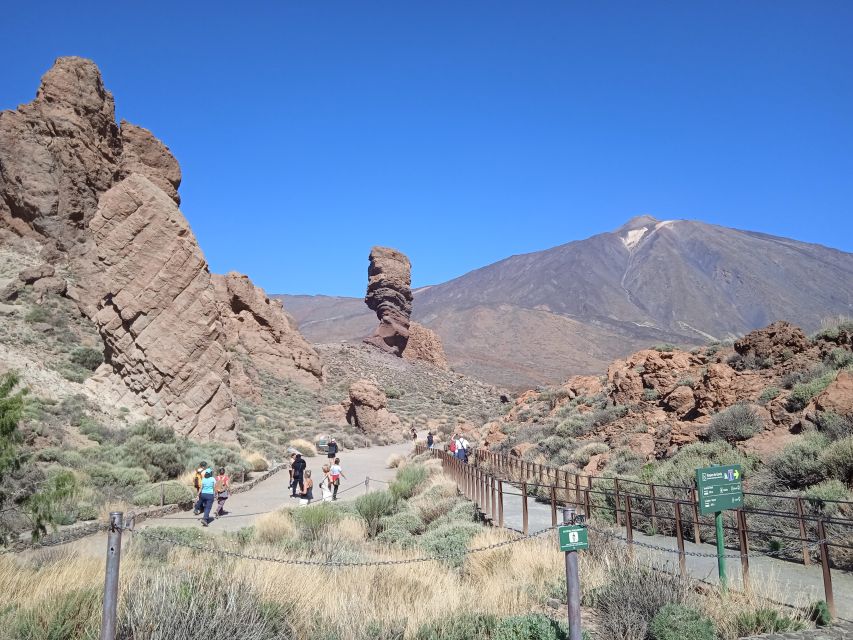 From Tenerife: Teide National Park Guided Day Trip by Bus - Key points to know before booking