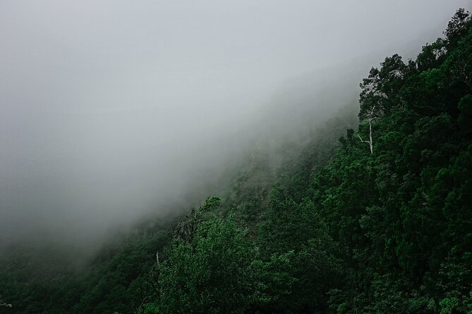 Full-day Bus Tour to La Gomera Island with Professional Guide - Hermigua Valley and the changing climate