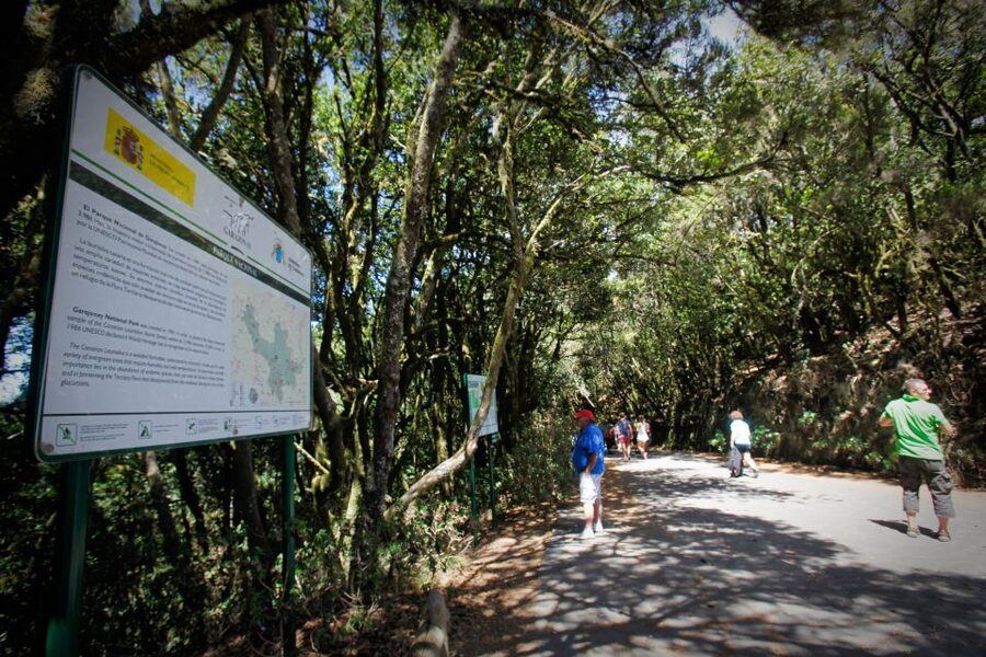 Full-Day Gomera Jeep Safari Excursion from Arona - Key points to know before you book