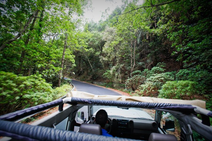 Full-Day Gomera Jeep Safari Excursion from Arona - Hearing Silbo Gomero in context