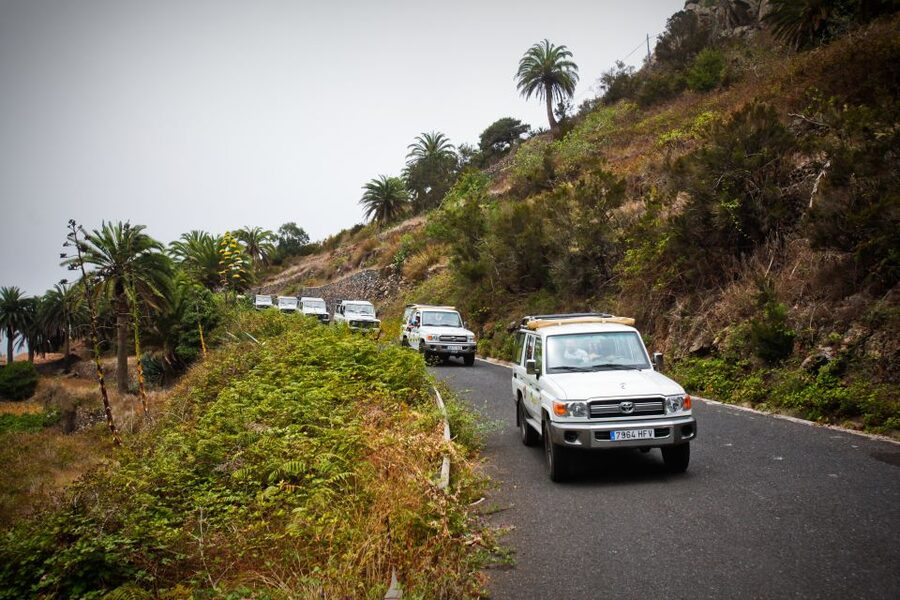 Full-Day Gomera Jeep Safari Excursion from Arona - The 8:20 AM start in Costa Adeje