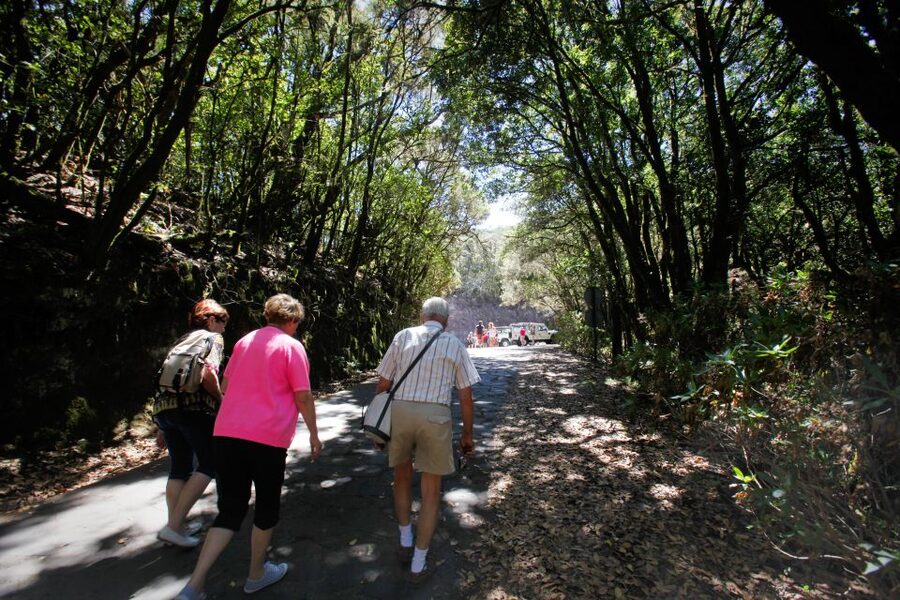 Full-Day Gomera Jeep Safari from Puerto de La Cruz - Who should book this full-day outing