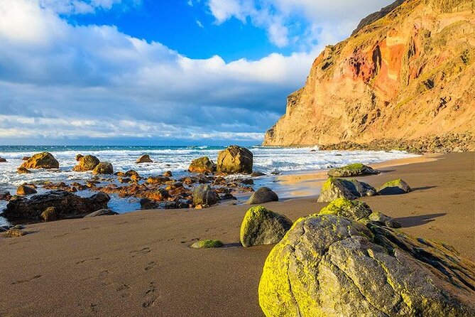 Full Day Guided Tour to La Gomera from Tenerife - The coach, guide, and multilingual commentary