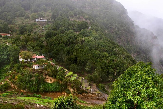 Full Day Guided Tour to La Gomera from Tenerife - Garajonay National Park and the laurel forest