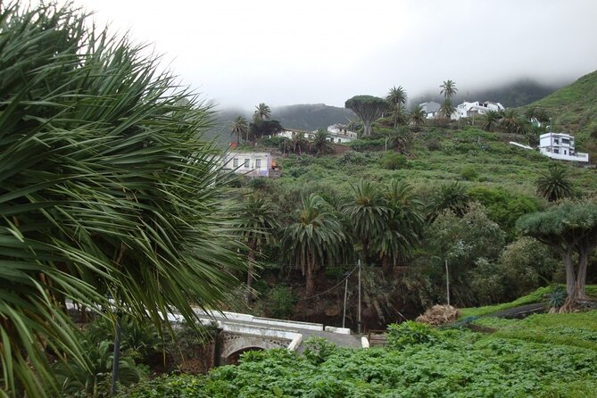 Full Day Tour of Santa Cruz and San Cristóbal de La Laguna - Key points to know before booking