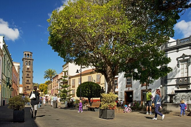 Full Day Tour of Santa Cruz and San Cristóbal de La Laguna - Pickup, bus time, and group size
