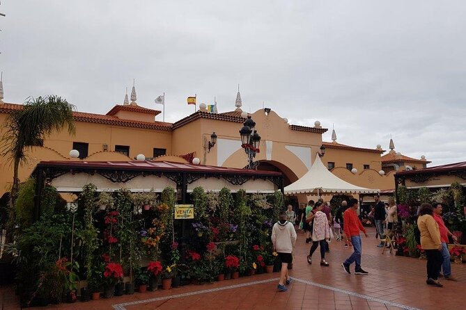 Full Day Tour of Santa Cruz and San Cristóbal de La Laguna - What the $66.23 price really covers