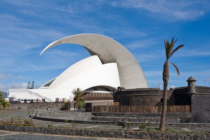 Full Day Tour of Santa Cruz and San Cristóbal de La Laguna - Who should book this day out