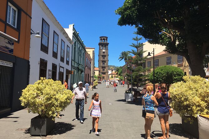 Full day tour visiting Santa Cruz, La Laguna and Anaga - Coach size, comfort, and language