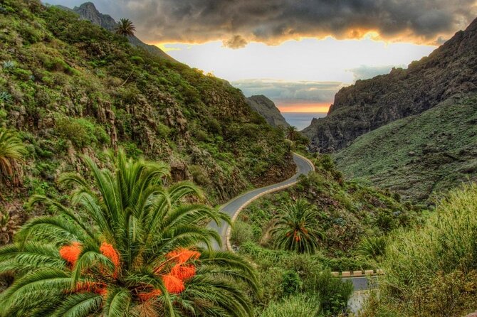 Full Day Tour with Certified Guide in Tenerife - Key points at a glance