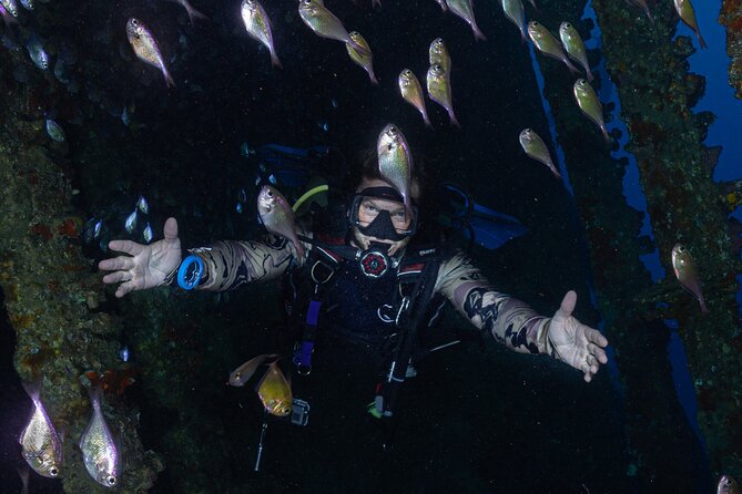 Fun Dive With Scuba Point in Los Cristianos - What the underwater session is like