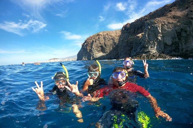Fun Dive With Scuba Point in Los Cristianos - Who should book this Tenerife scuba outing?