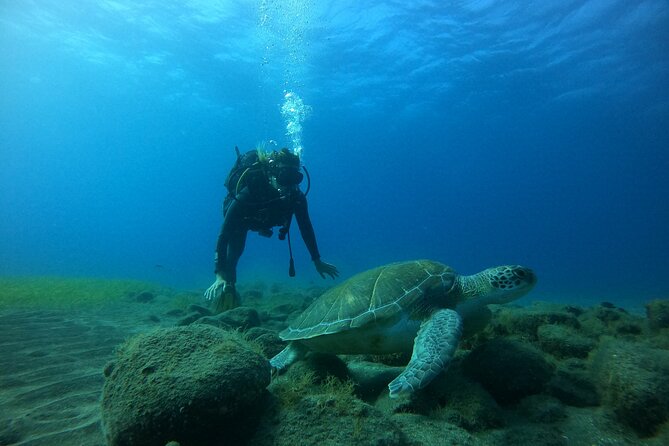 Fun Dive With Scuba Point in Los Cristianos - Equipment, safety, and comfort