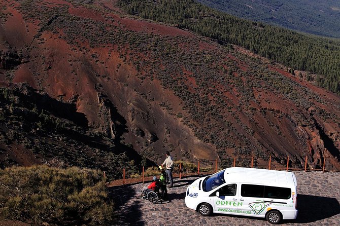 Get to know the Teide National Park and the north of Tenerife on a private tour - Lunch is optional, local, and not included