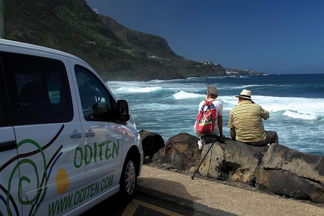 Get to know the Teide National Park and the north of Tenerife on a private tour - Teide National Park in a concentrated four hours