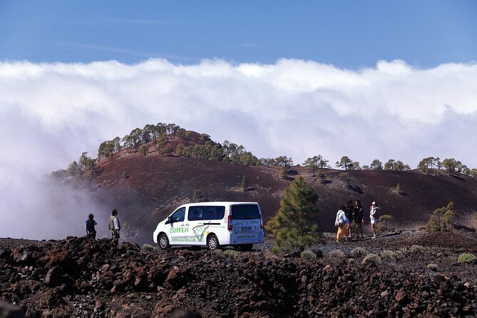Get to know the Teide National Park and the south of Tenerife on a private tour - Felix, Oditen, and the value of a local guide