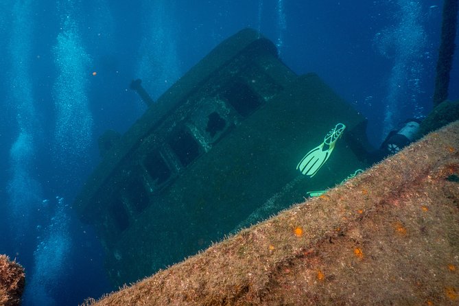 Guided Boat Dives for Certified Divers - Starting at Aqua-Marina in Playa de las Americas
