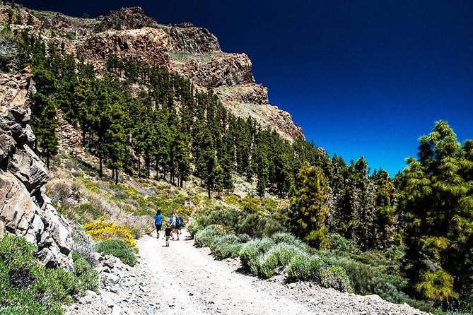Guided Hike - The Tajinaste Trail - The picnic stop is pleasant, but bring your own food