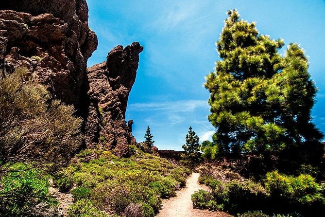 Guided Hike - The Tajinaste Trail - How demanding is the walk?