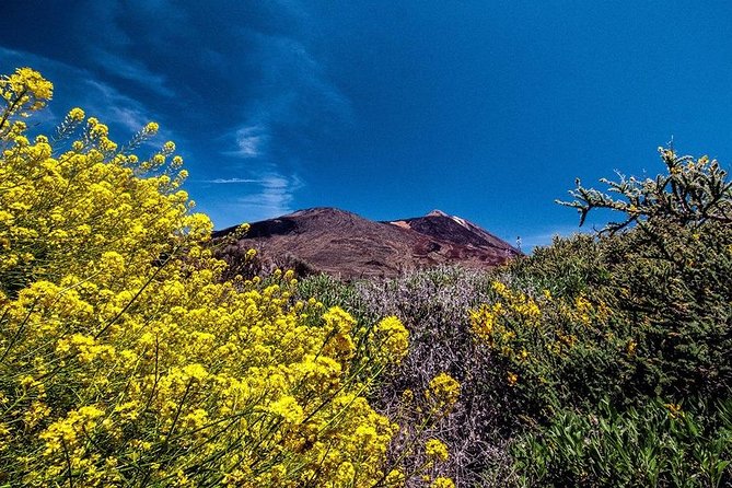 Guided Hike - The Tajinaste Trail - Who will enjoy the Tajinaste Trail most?