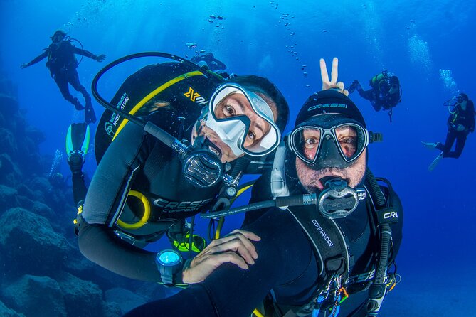 Guided Immersion from Santa Cruz de Tenerife - Key points to know before booking