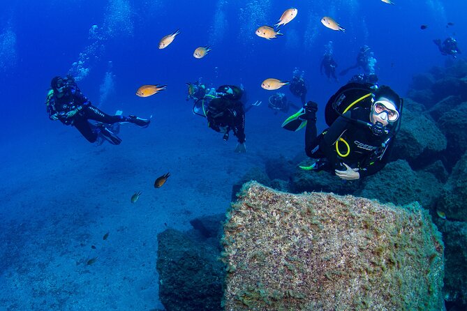 Guided Immersion from Santa Cruz de Tenerife - Why Radazul Bay works so well for a short scuba outing