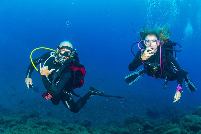 Guided Immersion from Santa Cruz de Tenerife - What the $69.84 price gives you