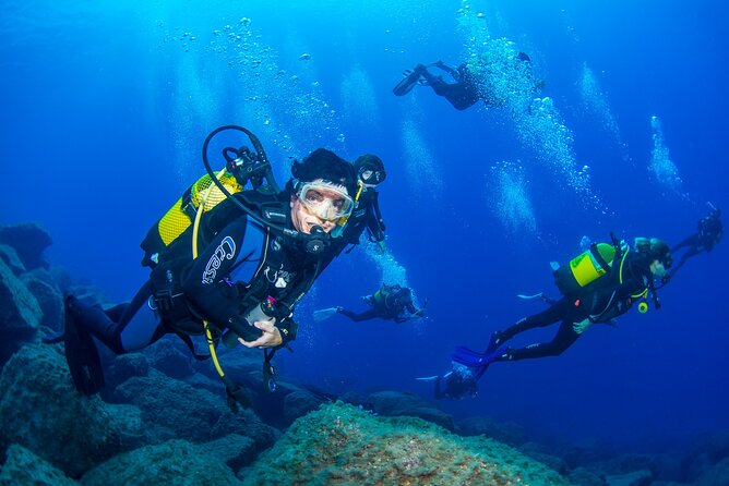 Guided Immersion from Santa Cruz de Tenerife - The second hour: 30 to 45 minutes below the surface