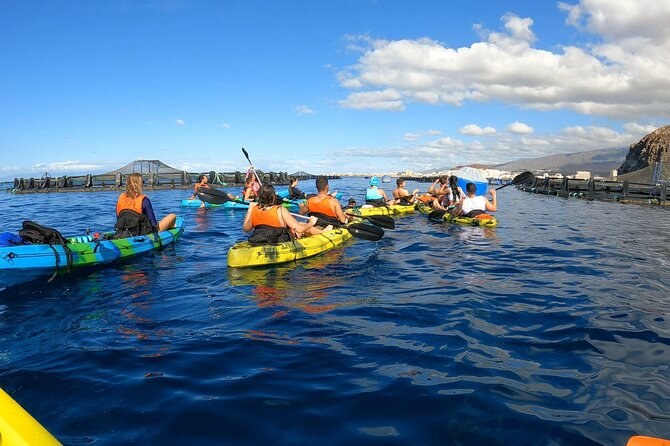 Guided Kayak Tour From Los Cristianos Beach Tenerife - Key points at a glance