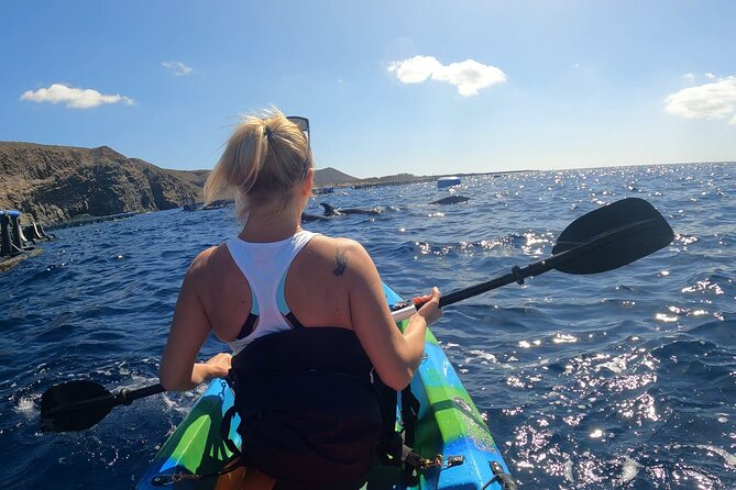 Guided Kayak Tour From Los Cristianos Beach Tenerife - Snorkeling among fish and clear water