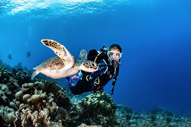 guided Scuba Diving on Tenerife (for certified divers) - A private format for certified scuba divers