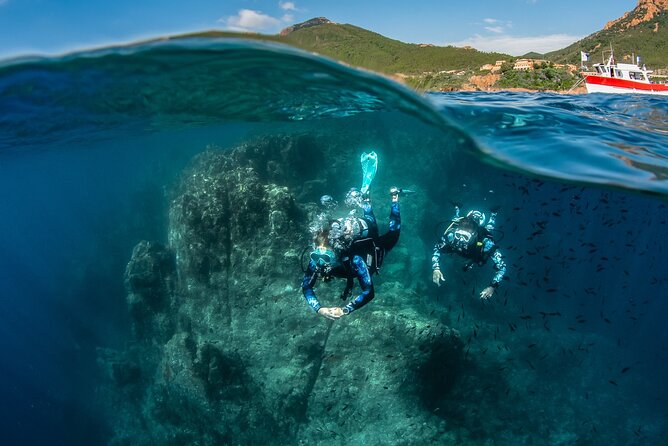 guided Scuba Diving on Tenerife (for certified divers) - Volcanic rock, fish, rays, and small sea life