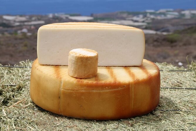 Guided Tour Montesdeoca Cheese Factory - Cheese and Wine Tasting - Seeing goats, sheep, feeding, and milking