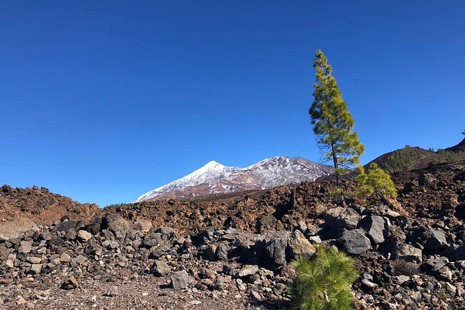 Guided Tour to Teide National Park in Tenerife - What the €66.08 Price Really Buys You