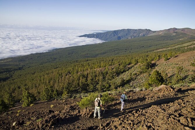 Guided Tour to Teide National Park in Tenerife - Teide Cable Car: A €45 Decision