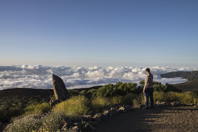 Guided Tour to Teide National Park in Tenerife - A Guide Can Make the Coach Ride Worthwhile