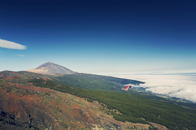Guided Tour to Teide National Park in Tenerife - Who Will Get the Most From This Excursion