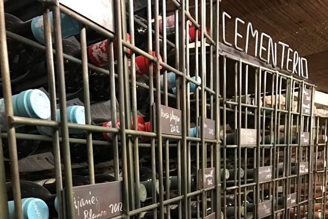 Guided Tour with 6 Wine Tasting - Why Bodega Viñátigo is worth your time