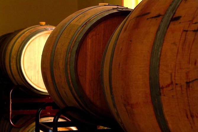 Guided Tour with 6 Wine Tasting - Inside the winery, the building becomes part of the story