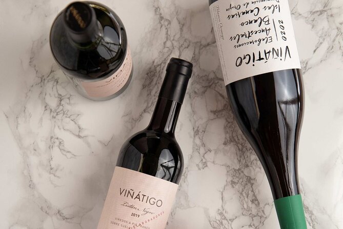 Guided Tour with 6 Wine Tasting - What the price includes, and what it does not