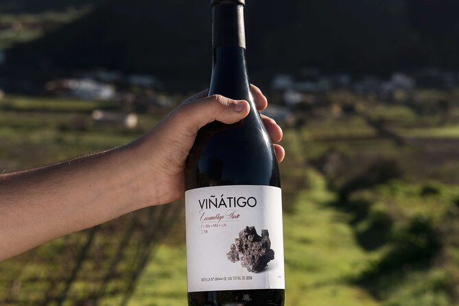 Guided Tour with 6 Wine Tasting - The working winery atmosphere is both a plus and a drawback