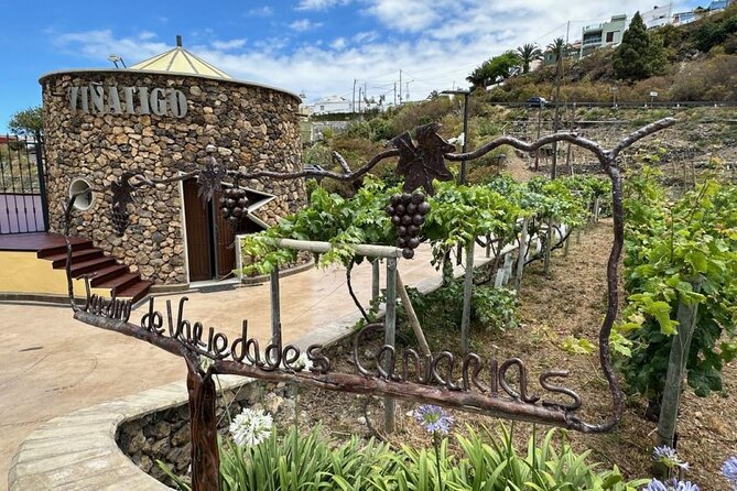 Guided Tour with 6 Wine Tasting - The Variety Garden starts with Tenerife’s grapes