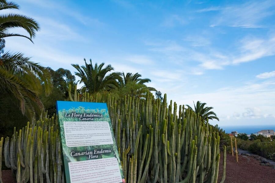 Guïmar: Pyramids of Güímar Ethnographic Park Entry Ticket - How long should you allow?