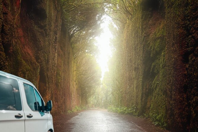 Half Day Tour Discovering Anaga Tenerife - Roque de las Bodegas and the north coast