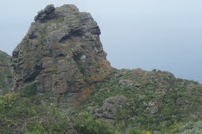 Half Day Tour Discovering Anaga Tenerife - Seven stops, five hours, and a brisk pace