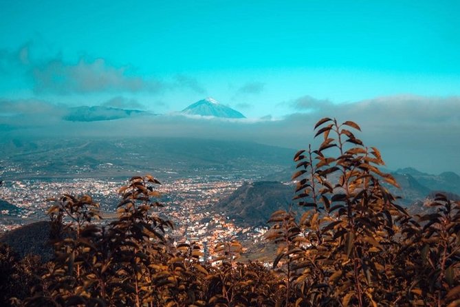 Half Day Tour Discovering Anaga Tenerife - Is $117.43 a fair price?